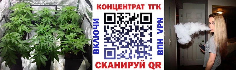 ТГК Wax  MEGA ТОР  Ладушкин 