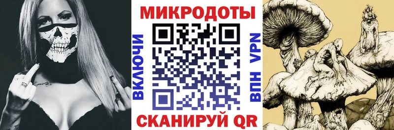 закладка  Ладушкин  Галлюциногенные грибы мицелий 